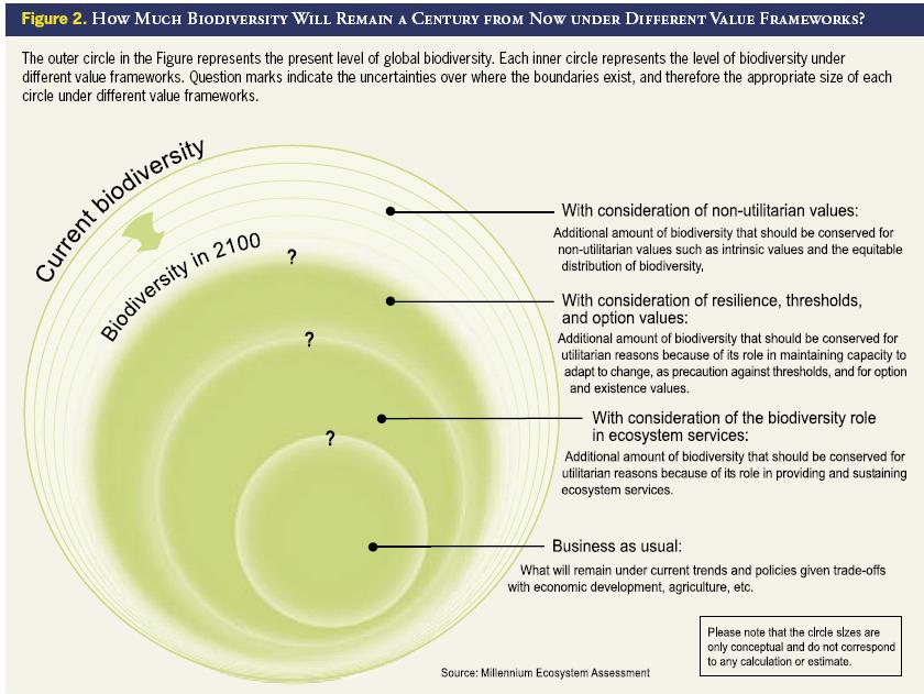 Option Value Of Biodiversity Examples